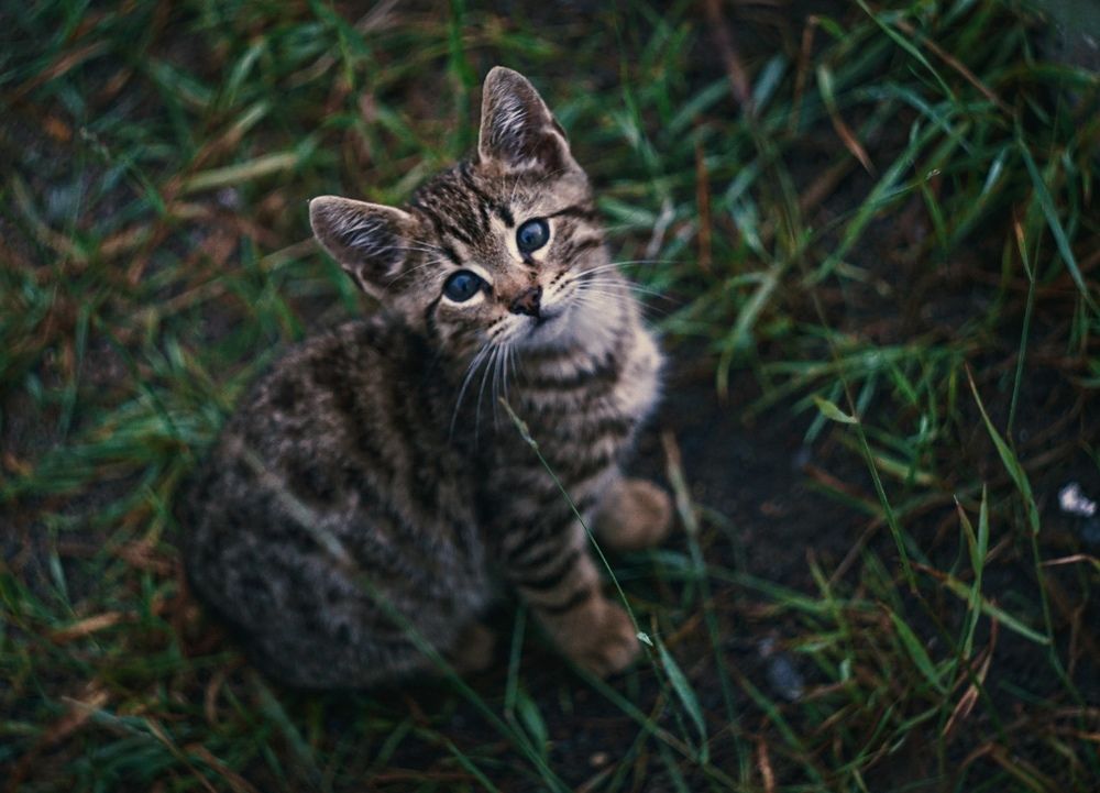 Photograph by Мария Васильева
