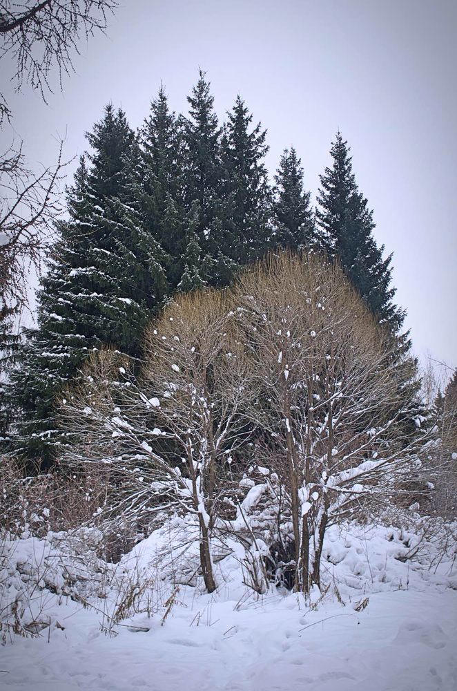 Фотография автора Анна Широкова