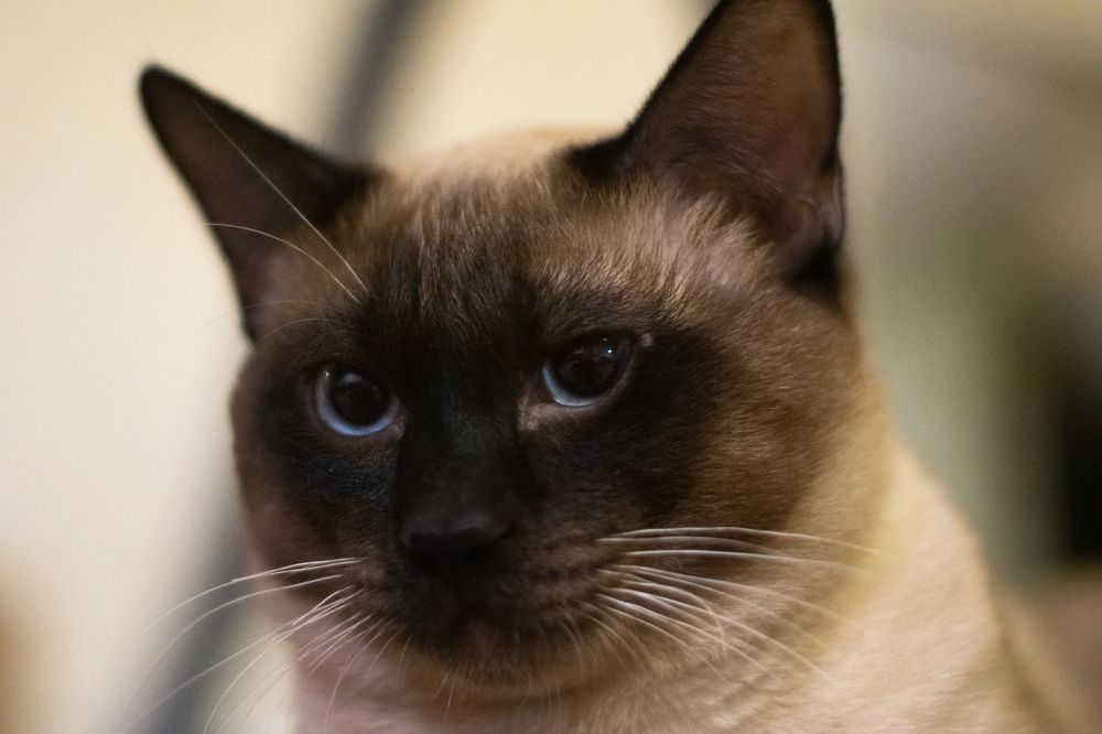 Фотография автора Юрий Назаренко