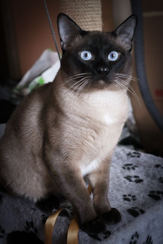 Фотография автора Юрий Назаренко