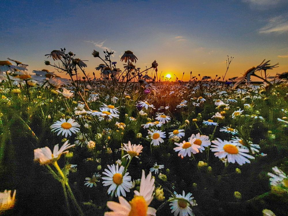 Фотография автора Irina Vornacheva