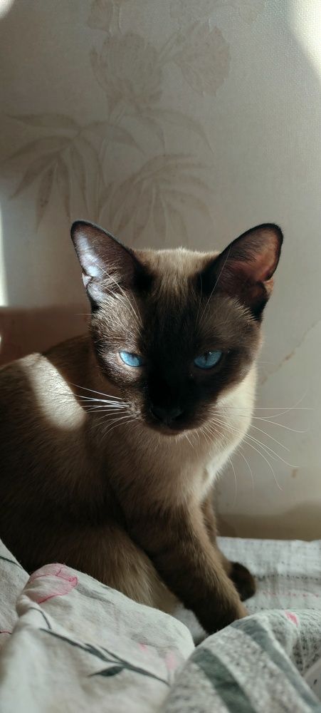 Фотография автора Юрий Назаренко