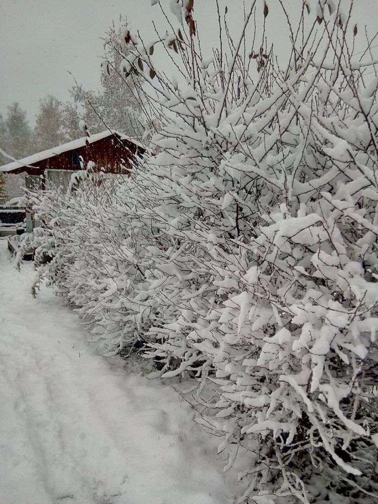 Photograph by Елена Алексеева