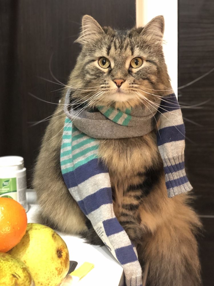 Photograph by Татьяна Собина