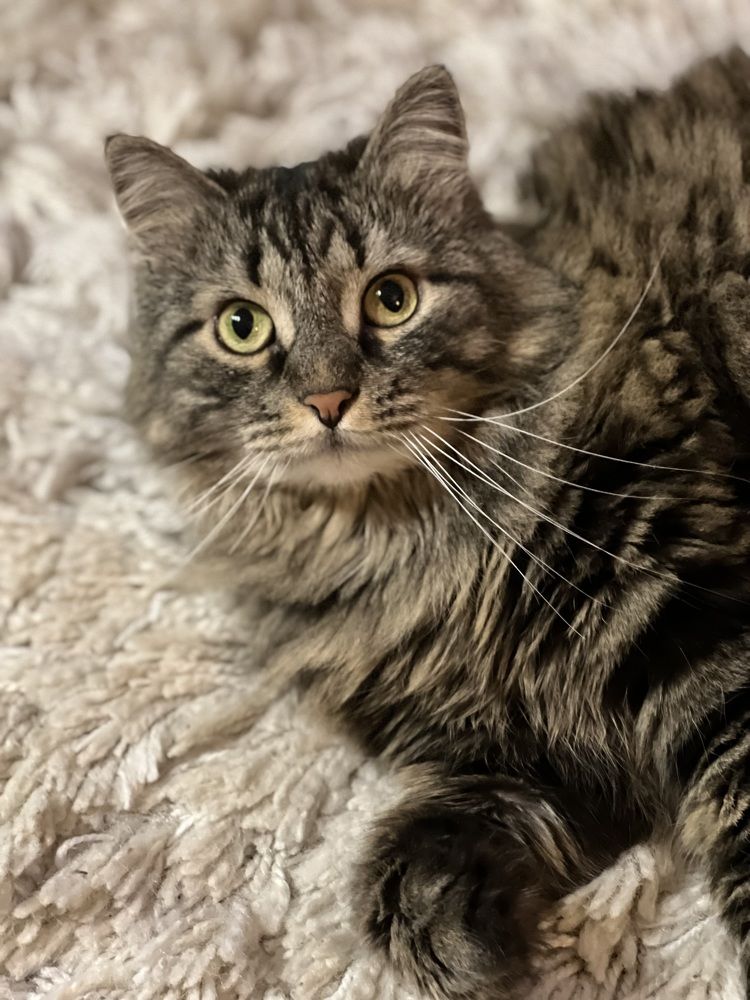 Photograph by Татьяна Собина