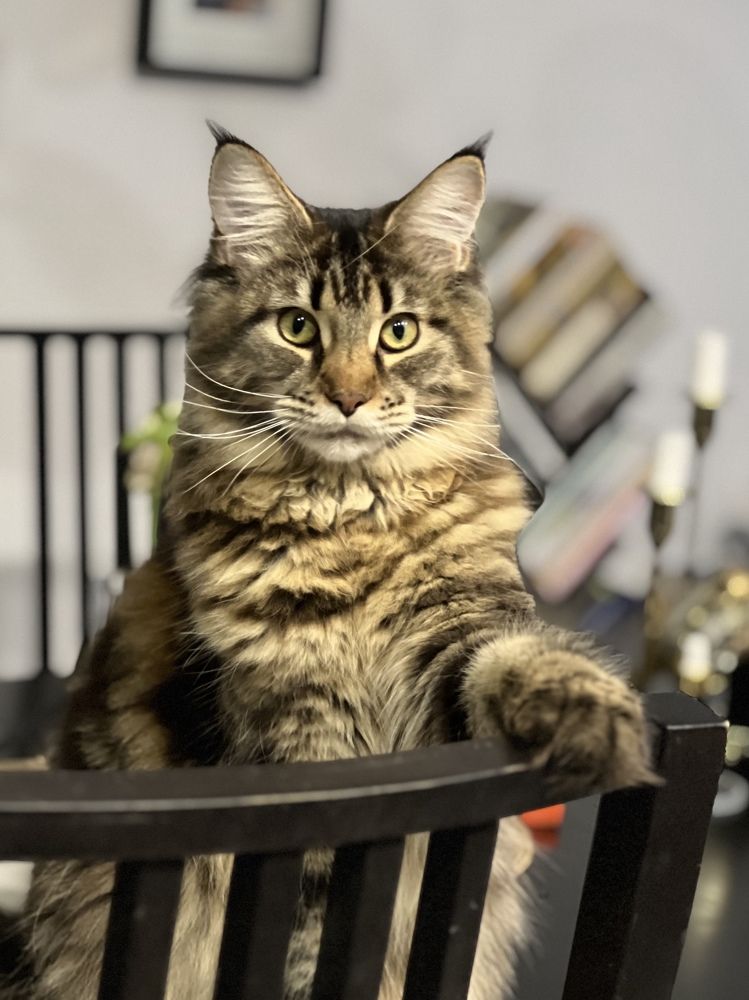 Photograph by Татьяна Собина