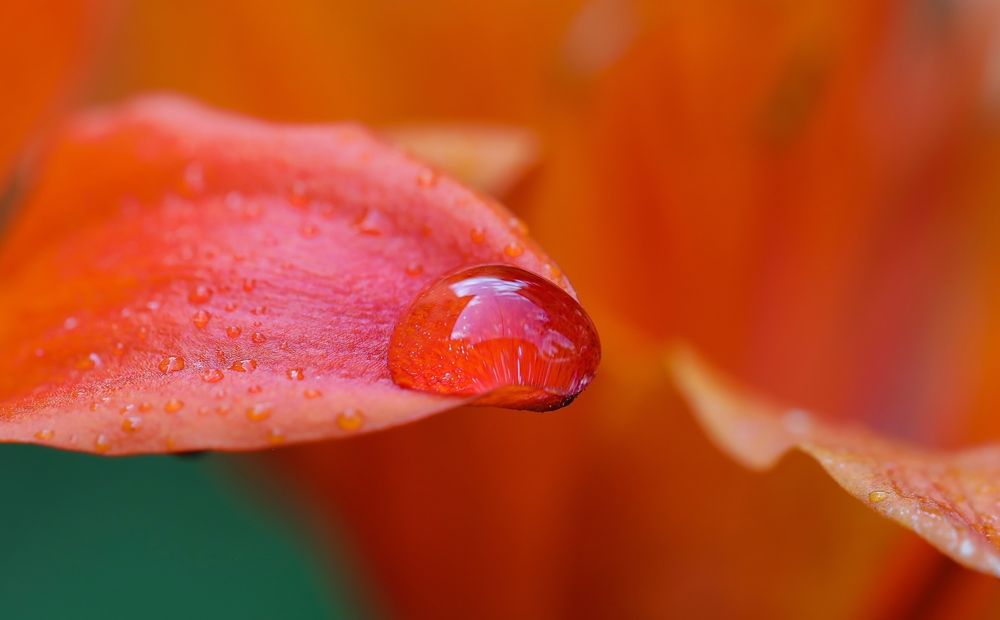 Photograph by Karen Mkrtchyan