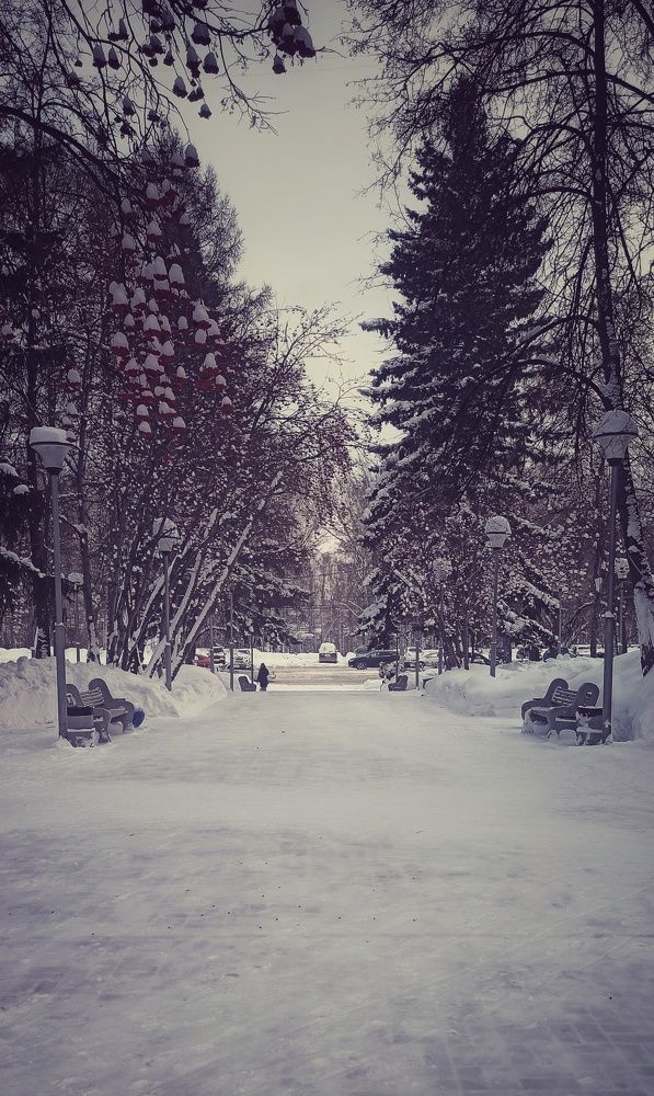 Photograph by Евгения Акишева