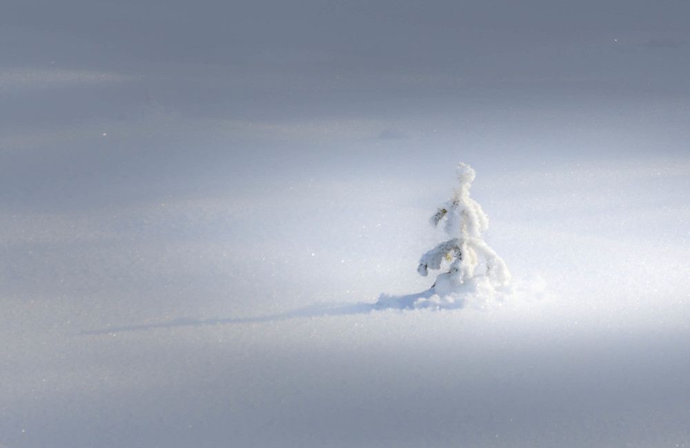 Фотография автора Crespan Terry