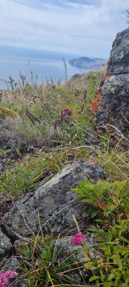 Photograph by Юлия Горина