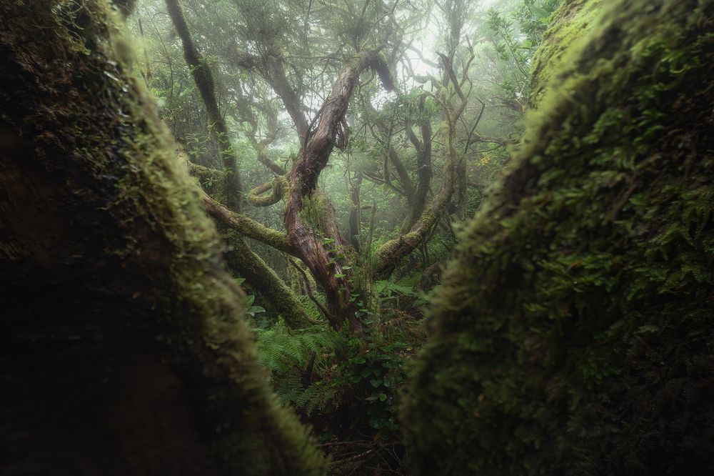 Photograph by Sergio Bautista Moreno