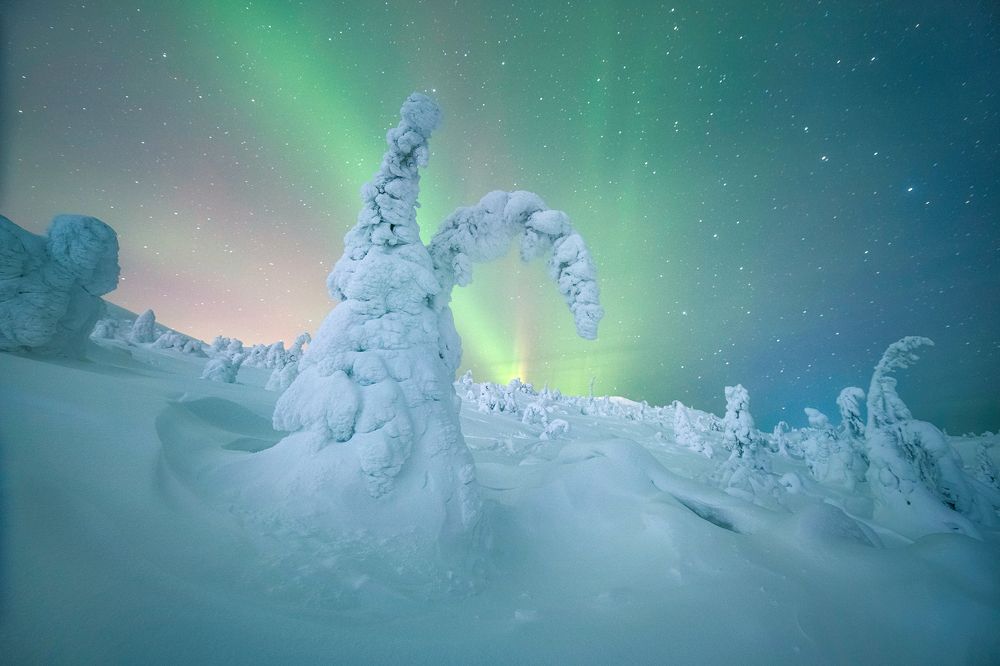 Photograph by Елена Ермолина