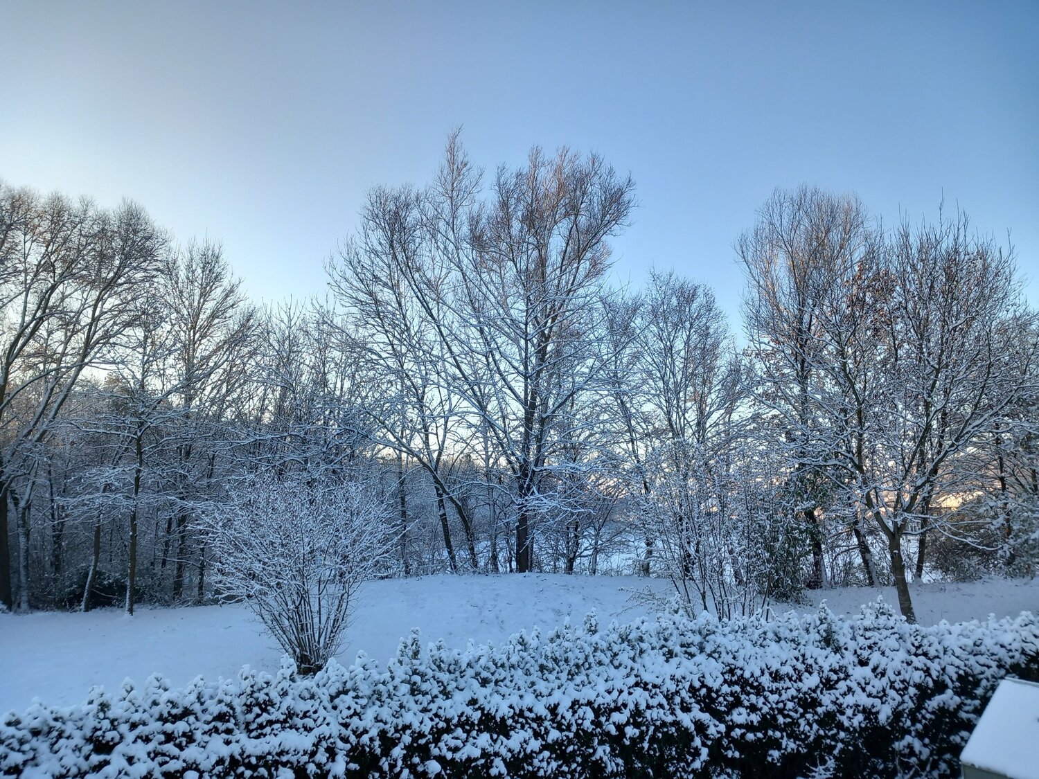 Photo #8750619