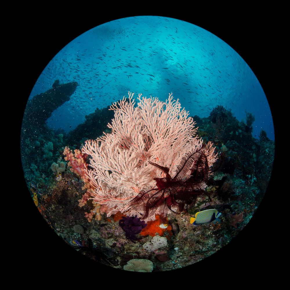 Photograph by Nadya Kulagina