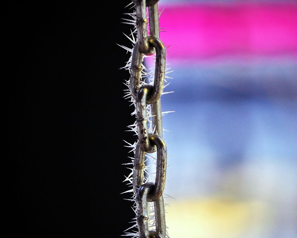 Photograph by Надежда Васильева