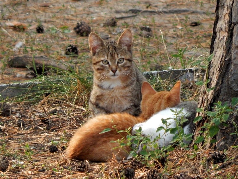 Photograph by Ирина Самойленко