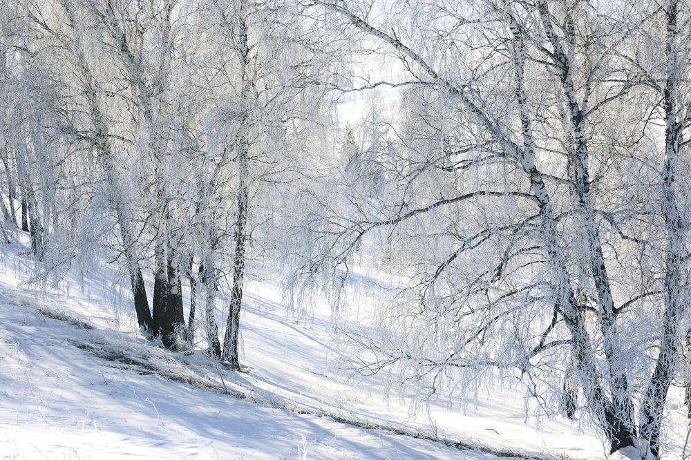 Фотография автора Рамиль Фаттахов