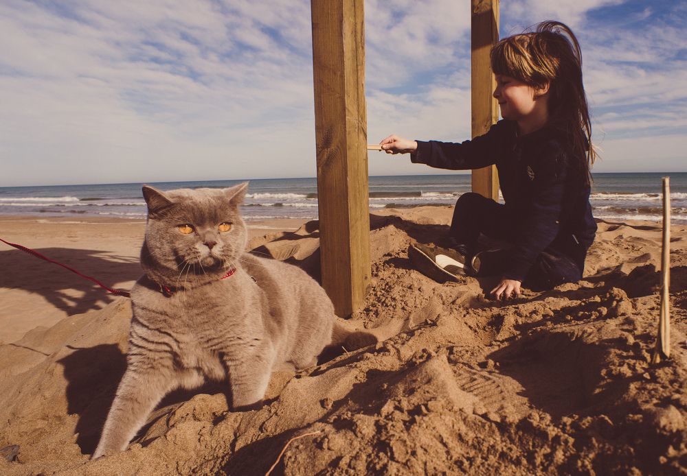 Photograph by Yulia Tanakova