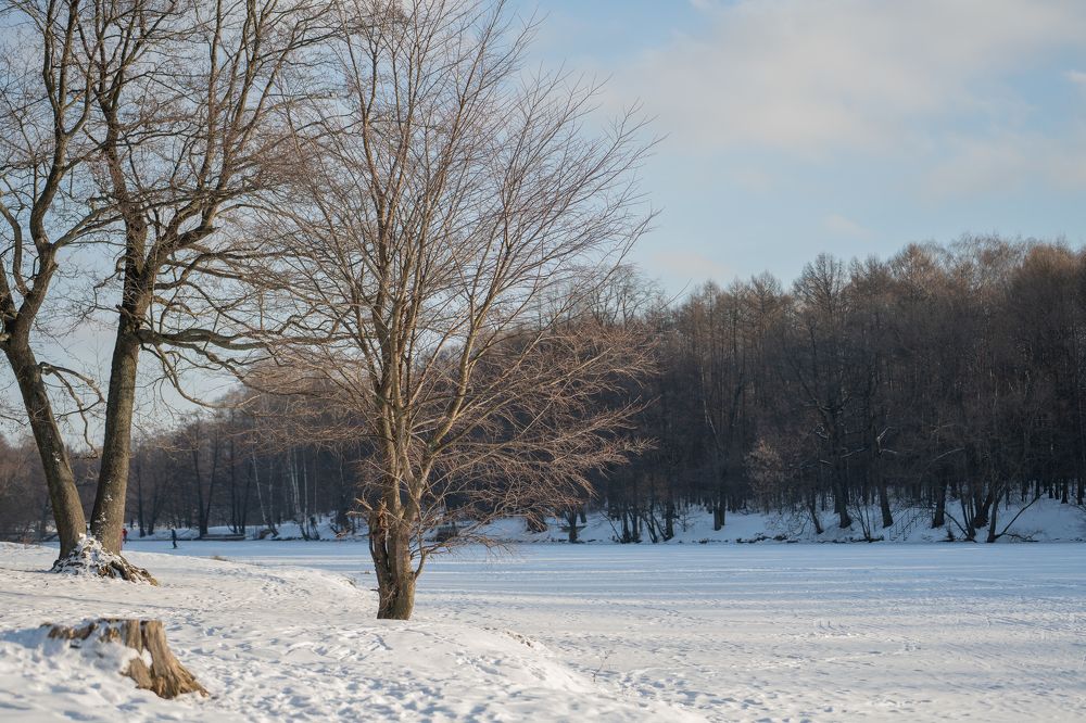Photograph by Олеся Владимирова