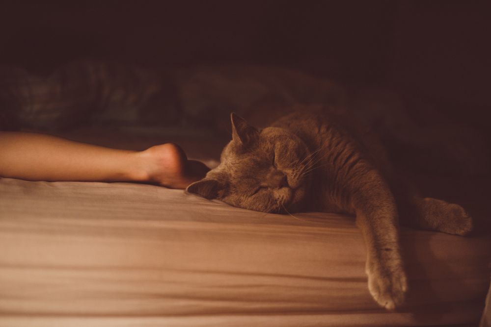 Photograph by Yulia Tanakova