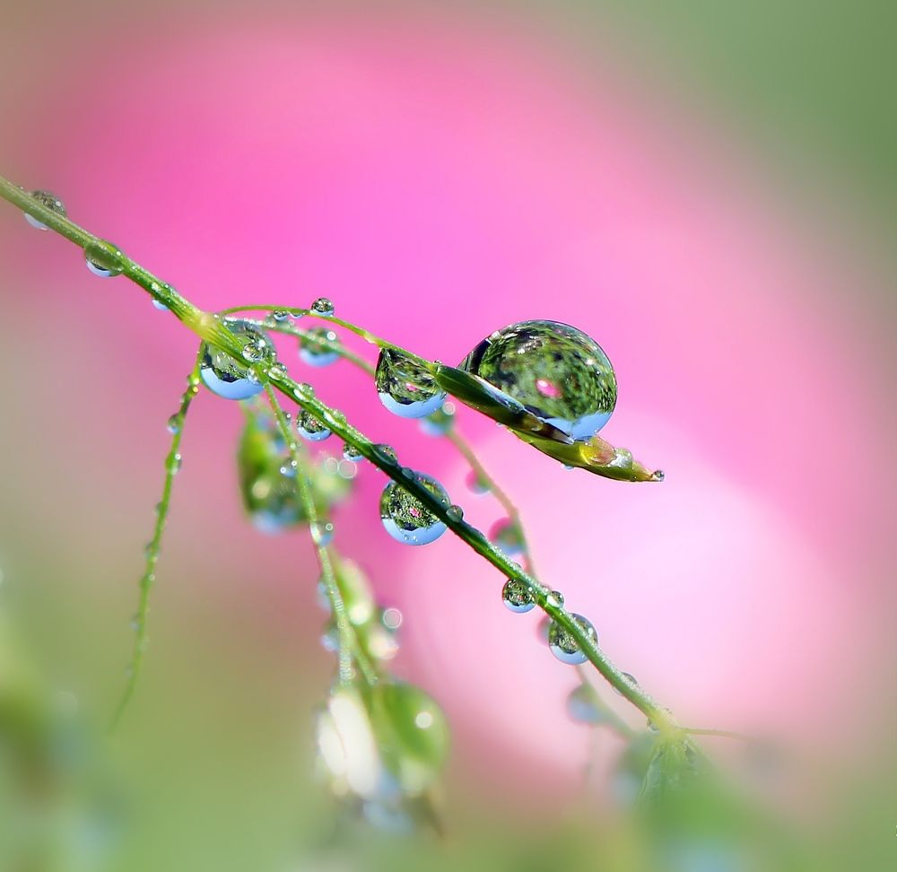 Photograph by Любовь Саханова