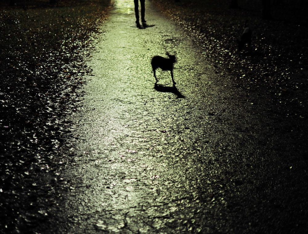 Photograph by Надежда Васильева