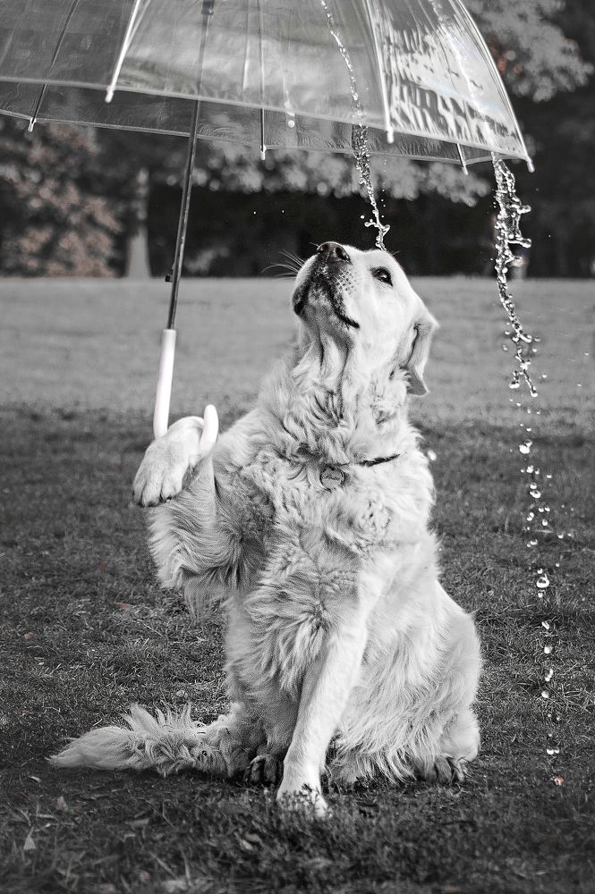 Photograph by Анастасия Мельник