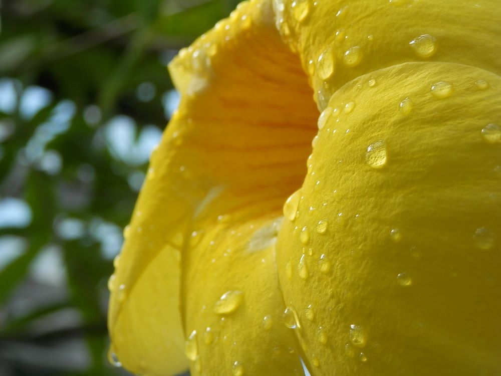 Photograph by Георгий Салюков