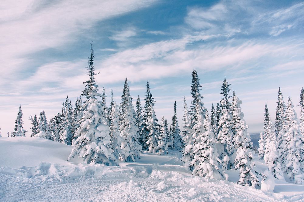 Photograph by Юрий Гау