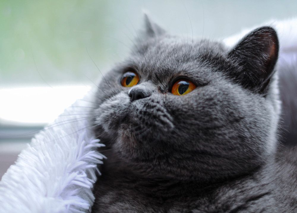 Photograph by Наталия Акимова