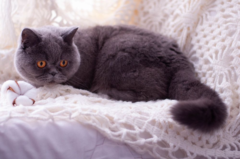 Photograph by Наталия Акимова