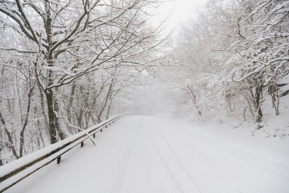 Photograph by Шалыгин Дмитрий