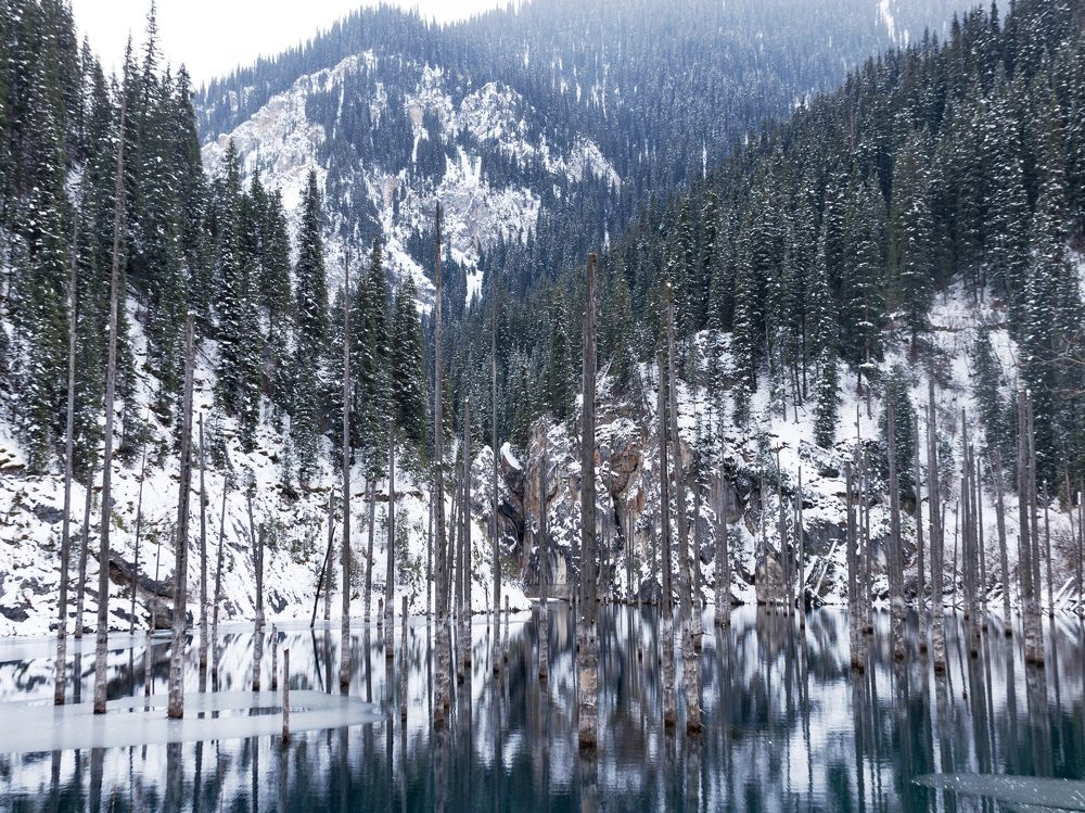 Photograph by Savikov Evgeniy