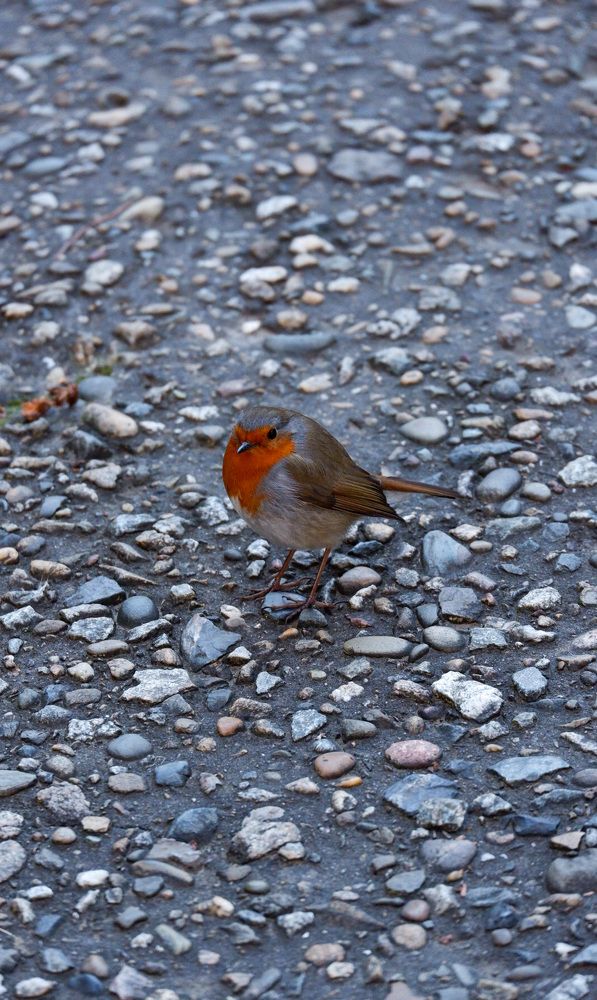 Photograph by Светлана Суворова