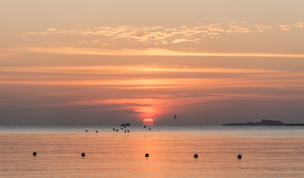 Photograph by Valentina