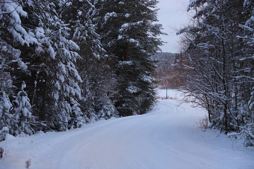 Photograph by Елена Лобакова