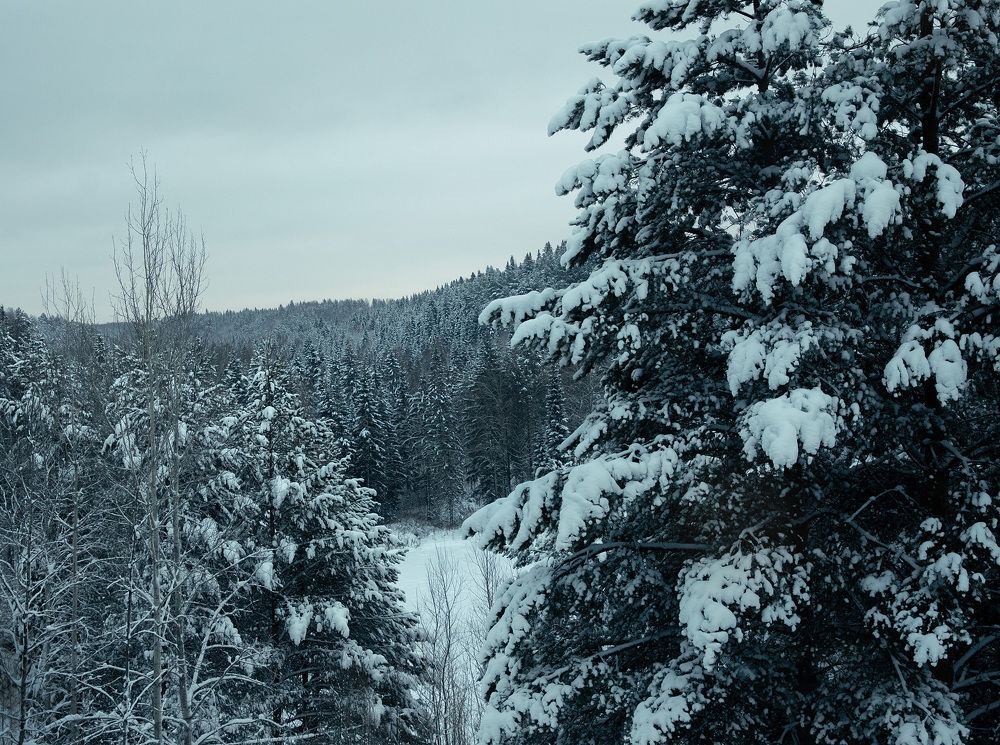 Photograph by Елена Лобакова