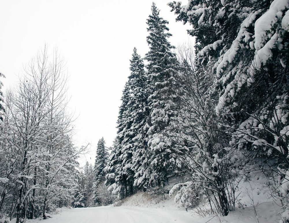 Photograph by Елена Лобакова