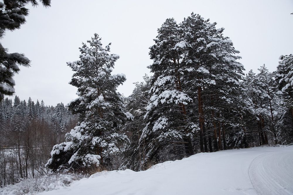 Photograph by Елена Лобакова