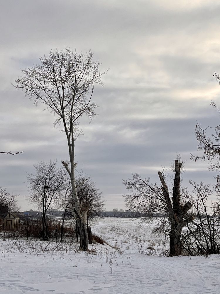 Photograph by Ольга Рачилова
