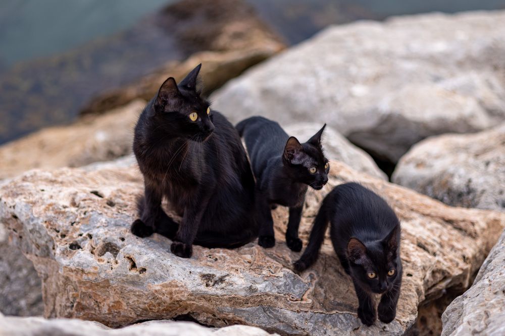 Photograph by Ingrida Pukaite