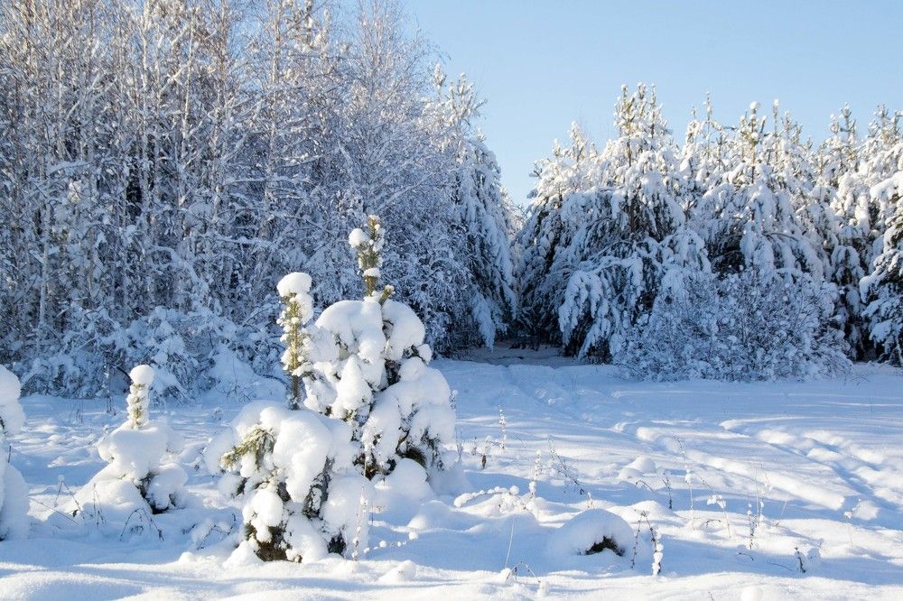 Photograph by Евгения Антропова