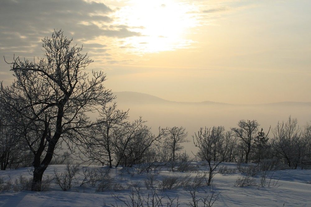 Фотография автора Татьяна Шебаршенко