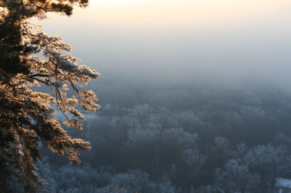 Фотография автора Татьяна Шебаршенко