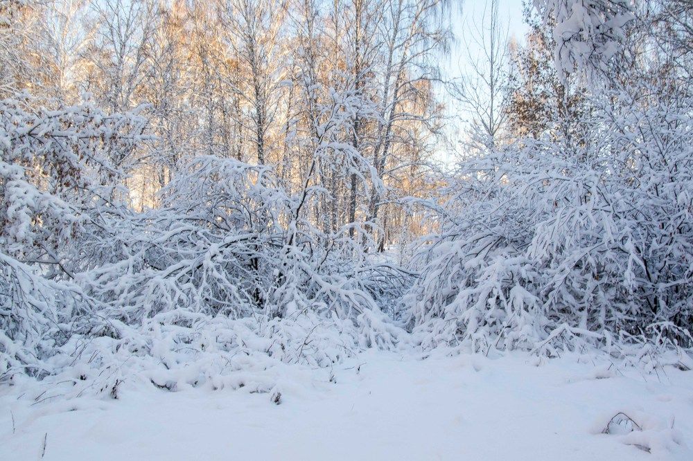 Photograph by Евгения Антропова