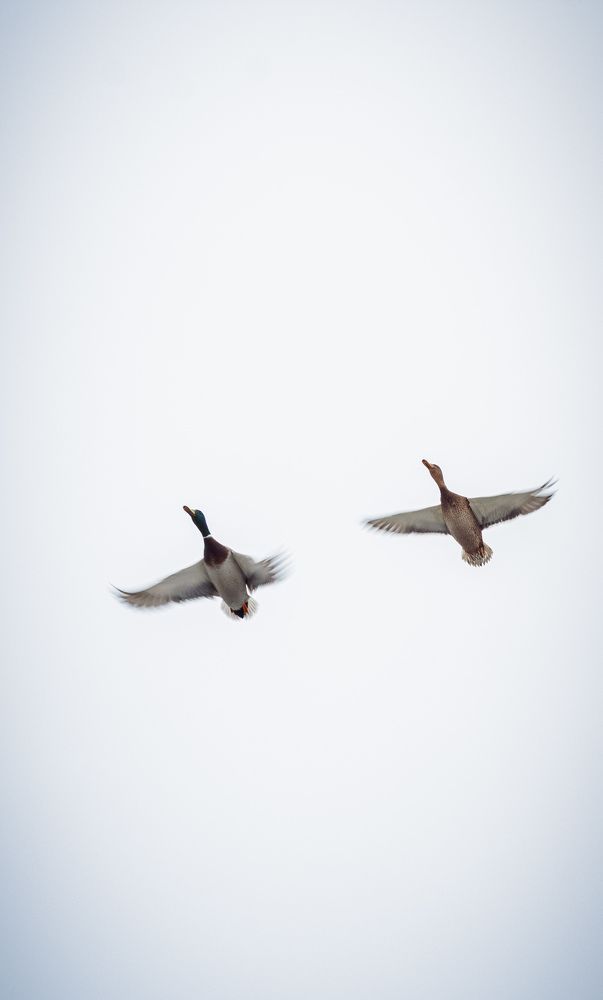 Фотография автора Захар