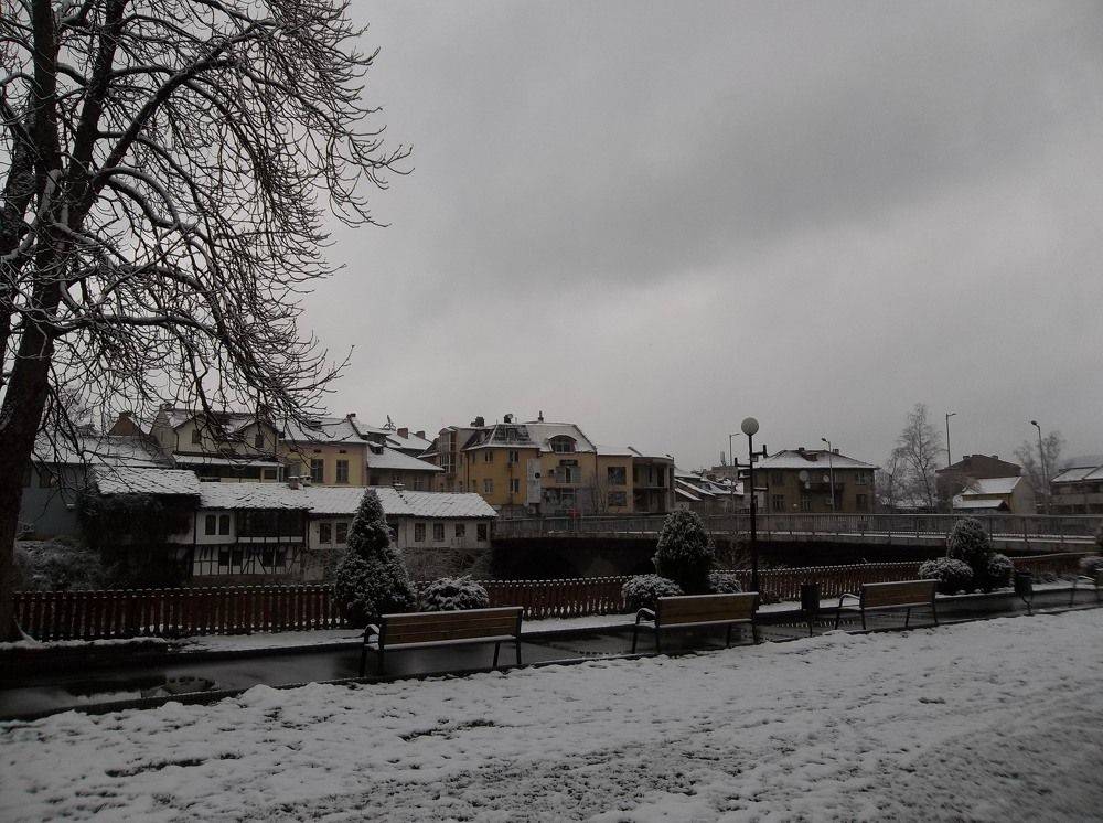 Photograph by Георги Колев