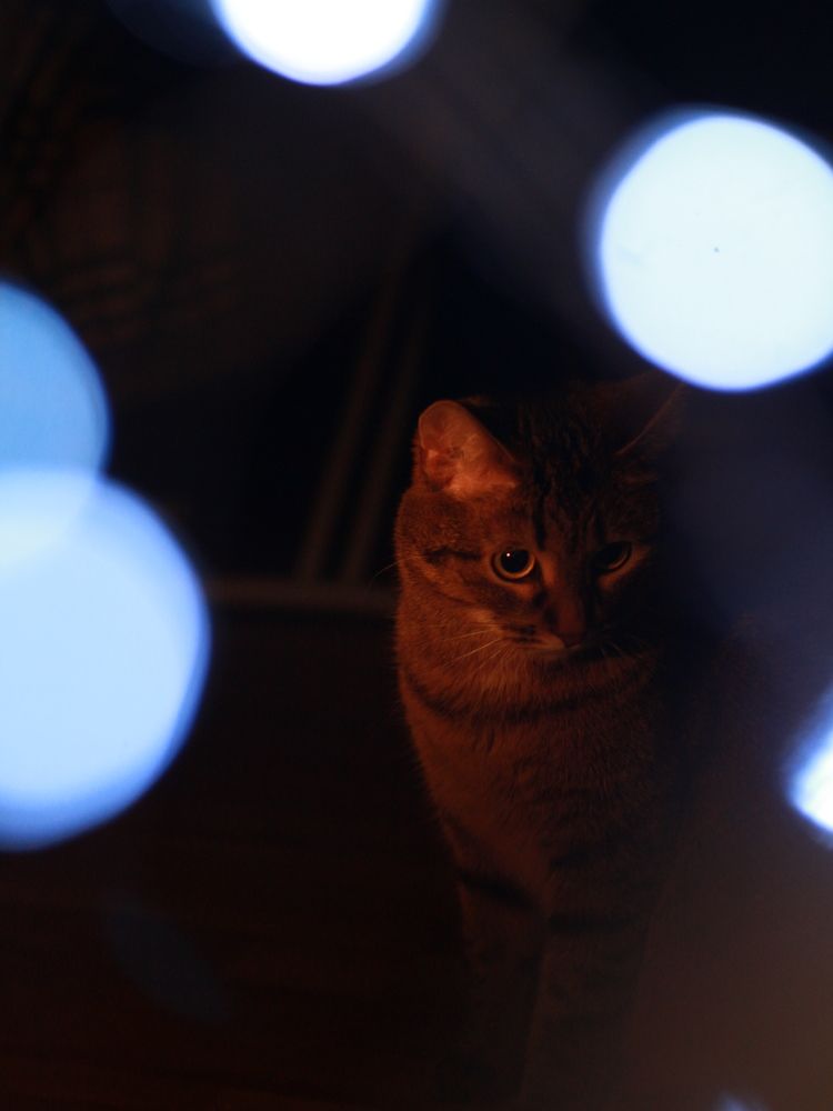 Photograph by Марина Беляева