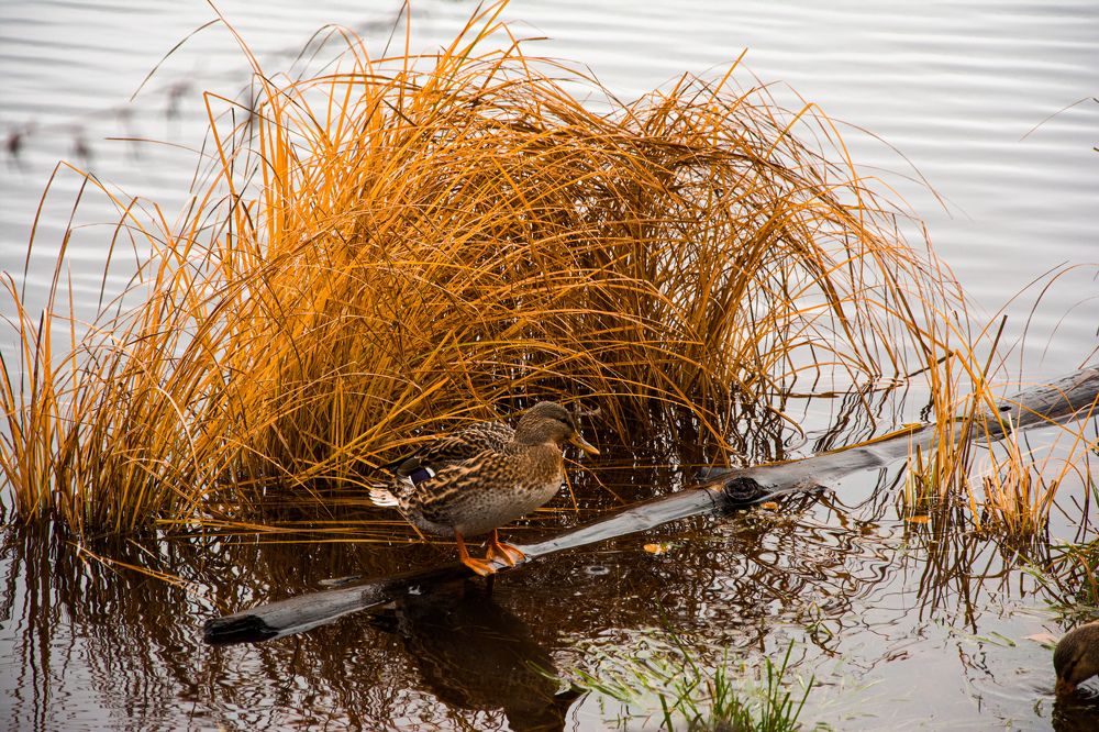 Фотография автора Захар