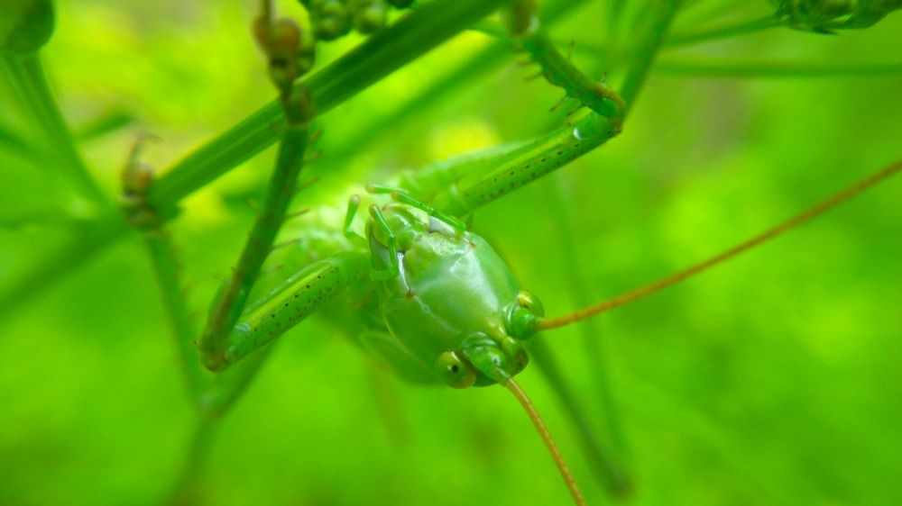 Photograph by Дмитрий Леонтенко